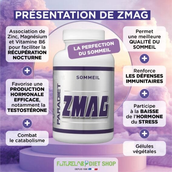 CREA VIGNETTE SITE ZMAG2