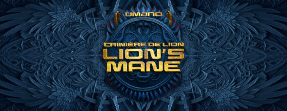 LION'S MANE Crinière de lion 2 etiquette umano LION