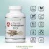 CREA VIGNETTE SITE ASWHA2