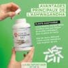 CREA VIGNETTE SITE ASWHA4