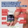 CREA VIGNETTE SITE APOLLON