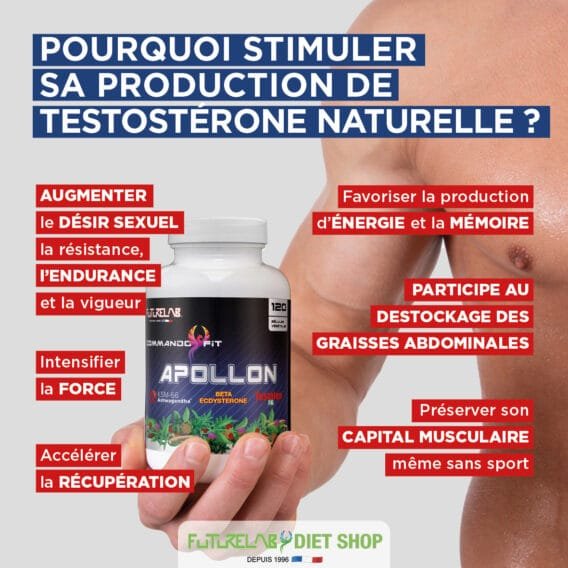 CREA VIGNETTE SITE APOLLON