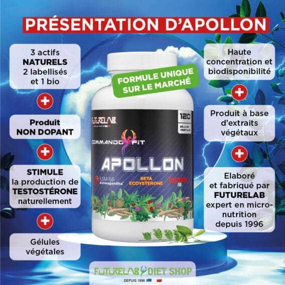CREA VIGNETTE SITE APOLLON2