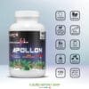 CREA VIGNETTE SITE APOLLON3