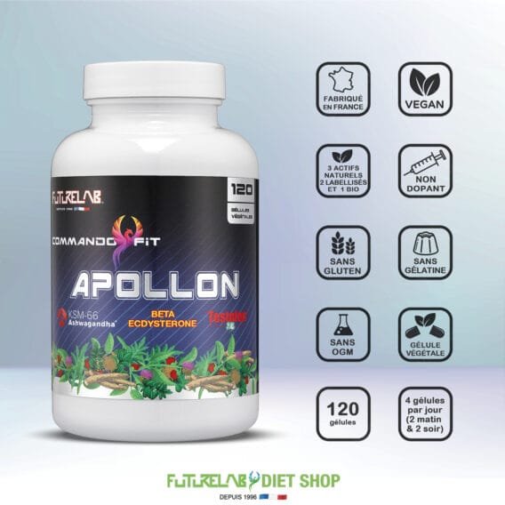 CREA VIGNETTE SITE APOLLON3
