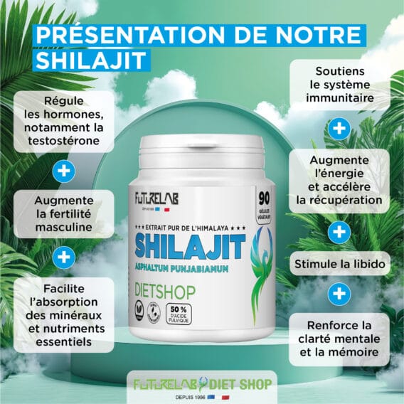 CREA VIGNETTE SITE SHILAJIT1