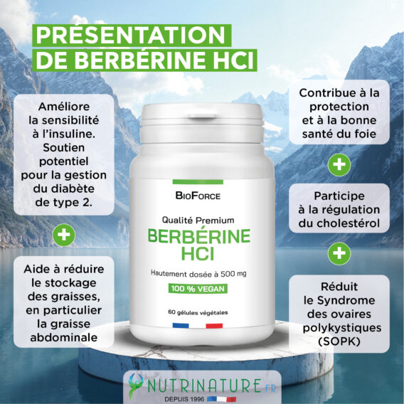 CREA VIGNETTE SITE BERBERINE