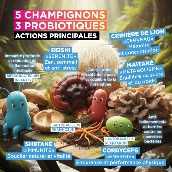 CHAMPIGNONS + PROBIOTIQUES 4 CREA VIGNETTE SITE CHAMPI2