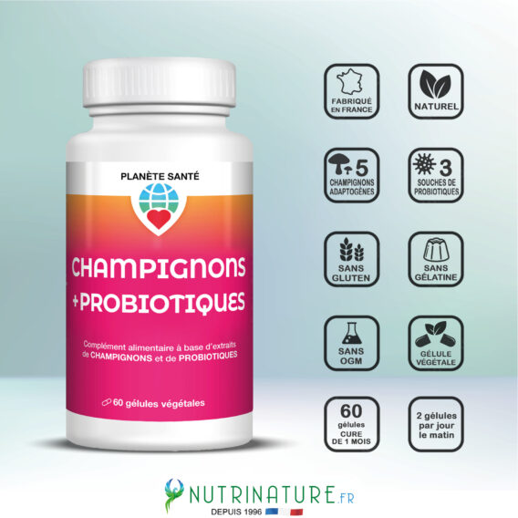 CHAMPIGNONS + PROBIOTIQUES 5 CREA VIGNETTE SITE CHAMPI3