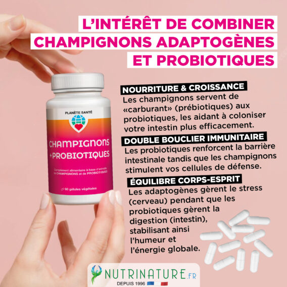 CHAMPIGNONS + PROBIOTIQUES 6 CREA VIGNETTE SITE CHAMPI4