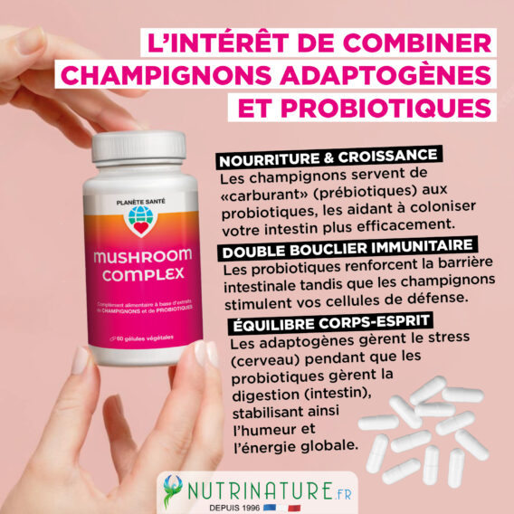 CREA VIGNETTE SITE MUSHROOM4