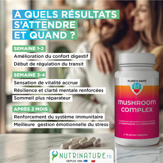 CREA VIGNETTE SITE MUSHROOM5