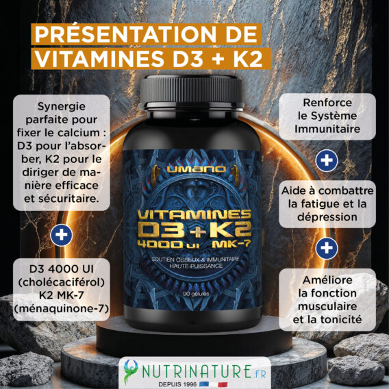 CREA VIGNETTE SITE D3 K2 2