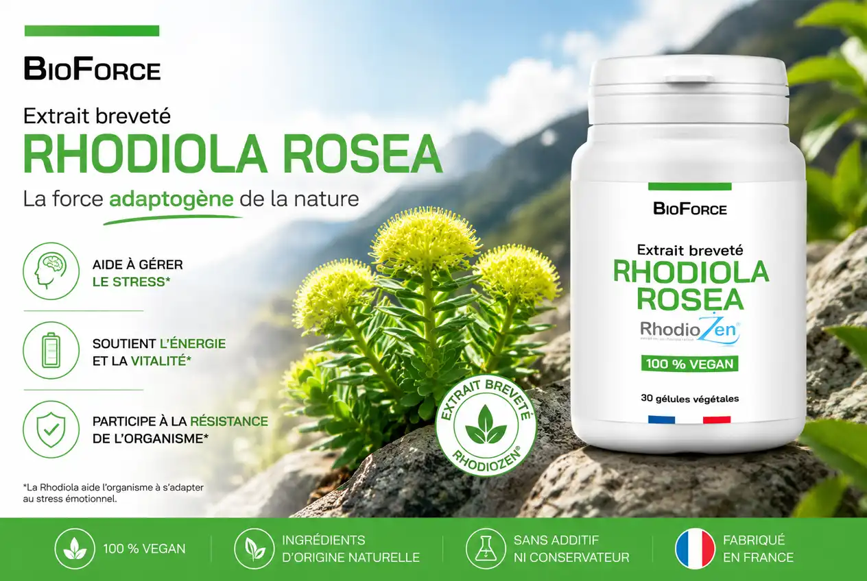 Rhodiola bienfaits : la plante adaptogène contre le stress 2 Rhodiola bienfaits : la plante adaptogène contre le stress
